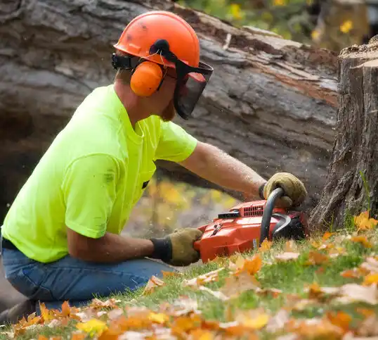 tree services Ansley